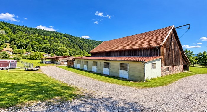 FRANCE - EXCLUSIVITÉ À SOULTZEREN (68) – CORPS DE FERME D’EXCEPTION AVEC ÉCURIE PROFESSIONNELLE